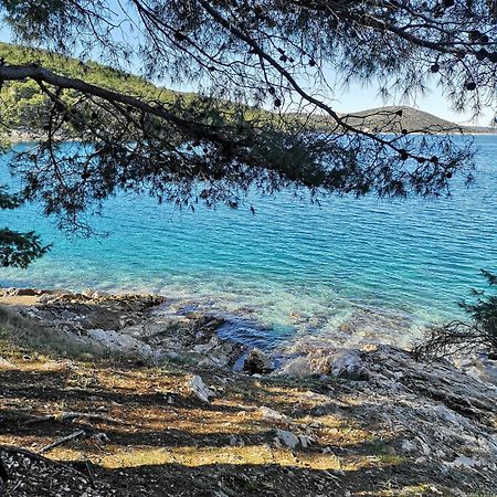 Villa Long Island Luxury Residence, Sali Dugi Otok-Private Parking,Next To Beach Kültér fotó